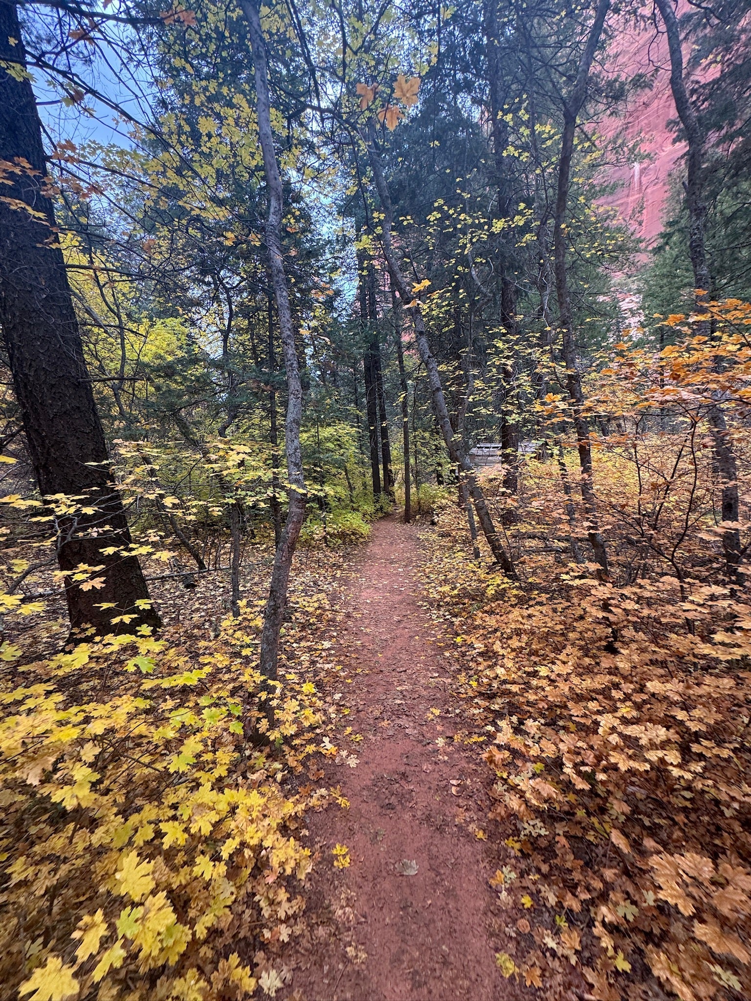 SOME TECH I DON'T MISS