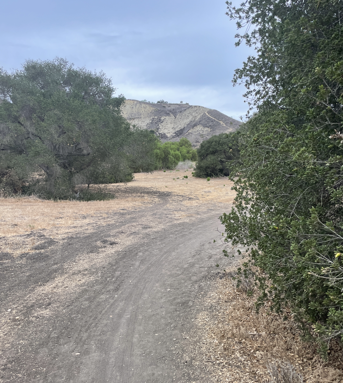 IF YOU WANT TO BE THE BEST, YOU MIGHT HAVE TO DO THIS