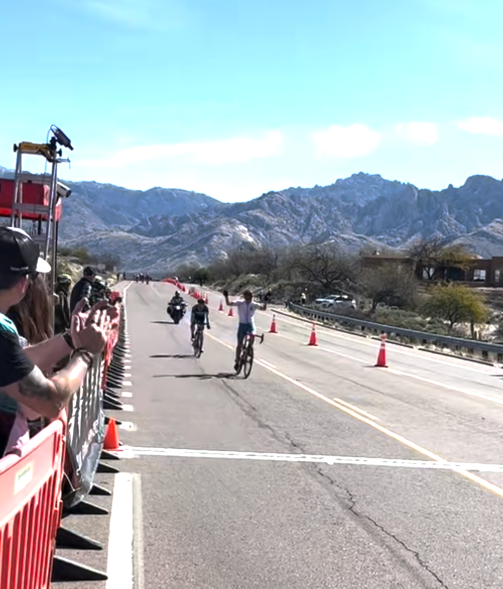 THERE'S A BEE IN MY BIBS!