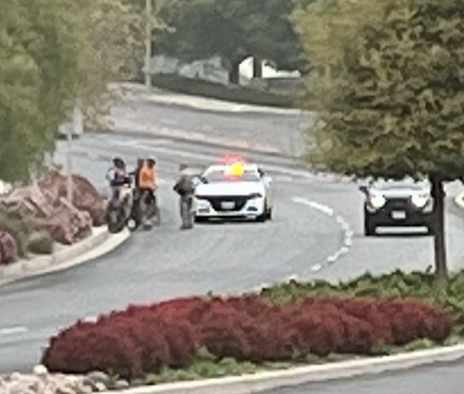 HOW A TURKEY GOT US OUT OF A TICKET