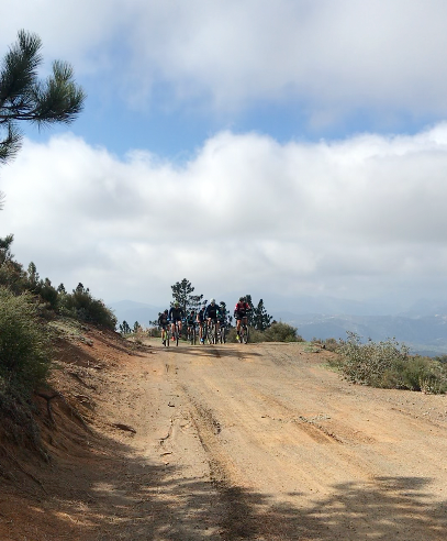 SOMETIMES THE TDF RACERS SEEM LIKE SUCH PANSIES