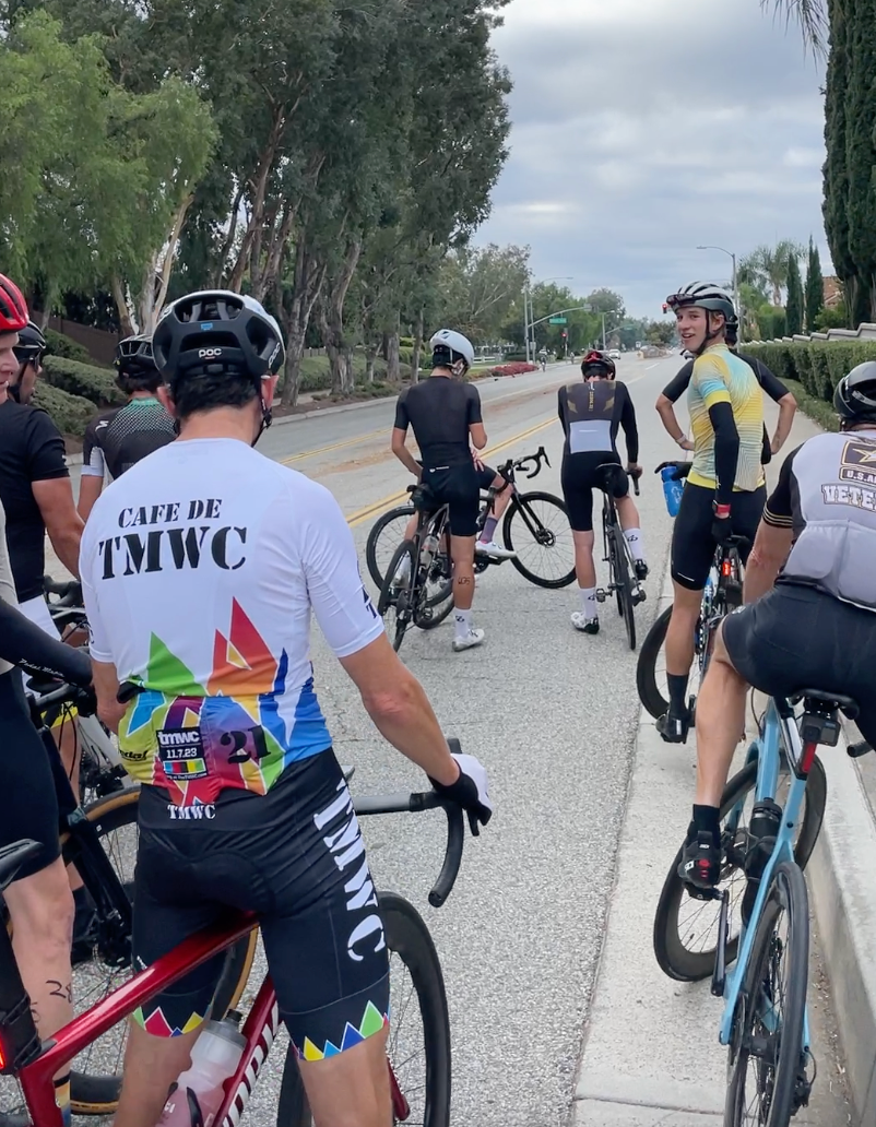 WILL WE EVER SEE THIS CAT AGAIN?