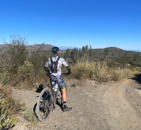 ABOVE THE NOISE AND CONFUSION