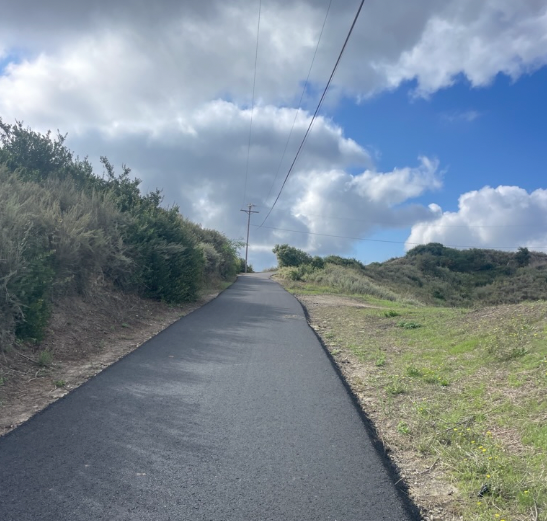 IT AIN'T EVERY DAY YOU CAN LOOK FORWARD TO THIS