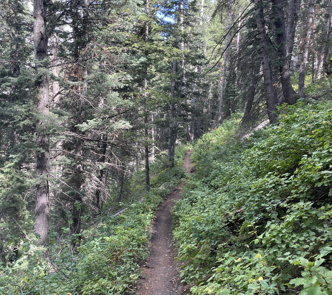 WHAT HAPPENS IN SIN CITY...