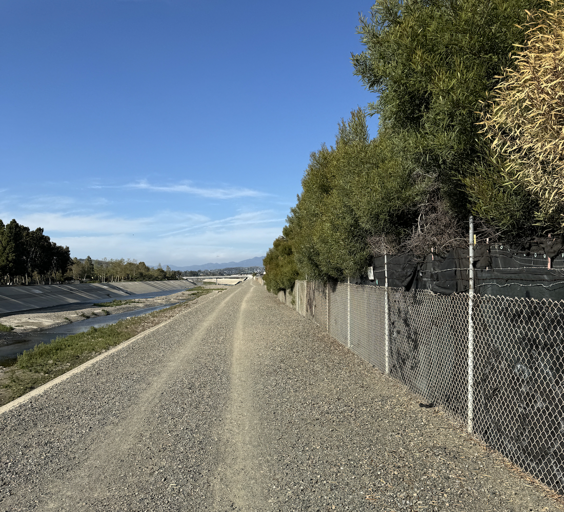 LEARNING TO RIP FROM MARCH MADNESS