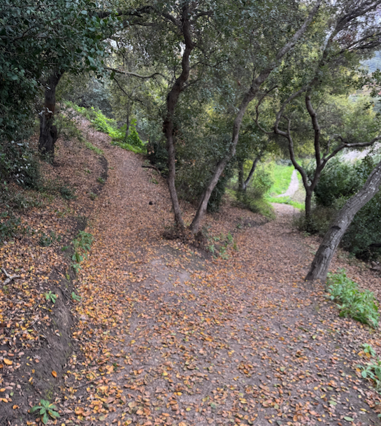 IS IT TIME TO STOP BINGING?