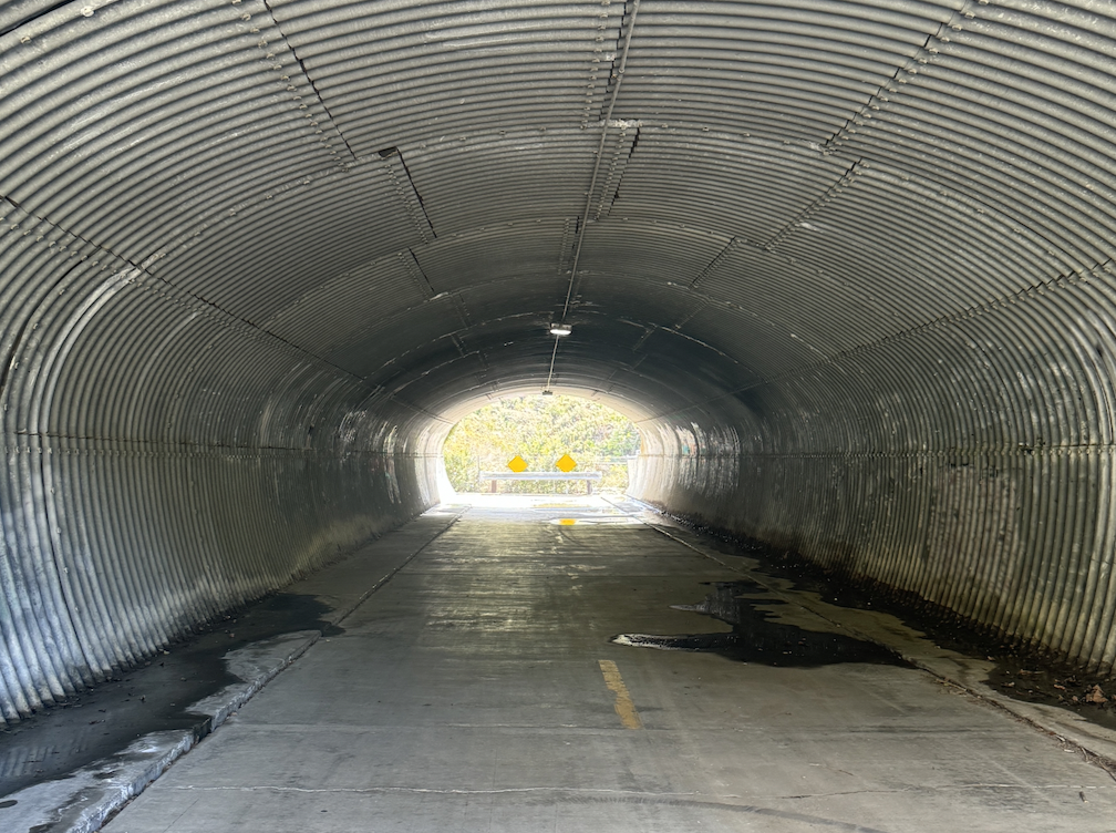 IT'S LIKE THE SUN GOING UP ON ME