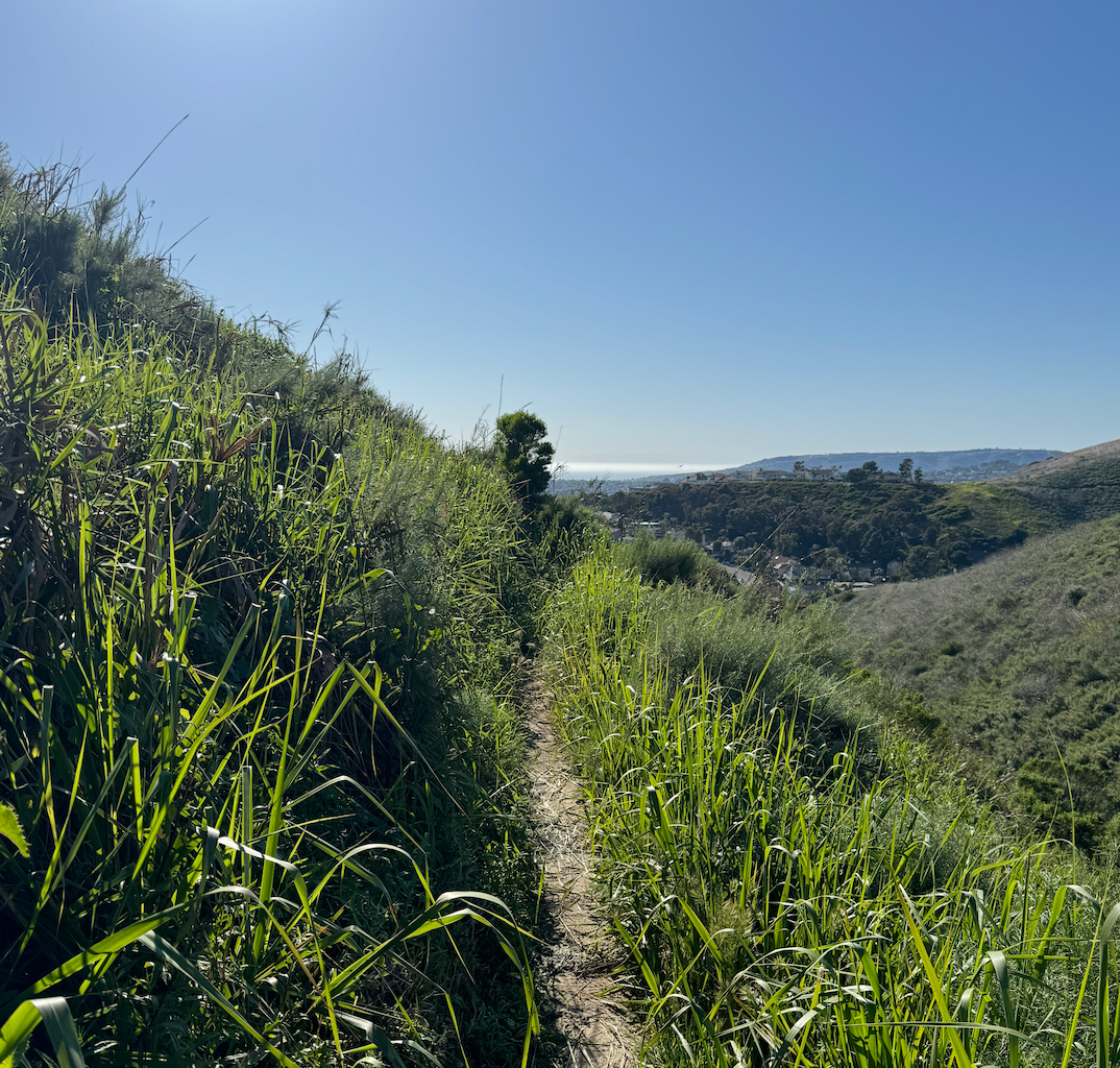 IS IT TIME TO CONSIDER ROAD PEDALS FOR OFFROAD?