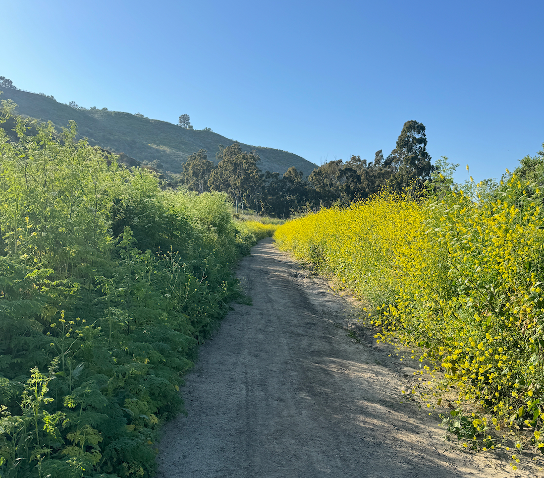 EVER HAD THE CRUD BEAT OUT OF YOU, FOR REAL?