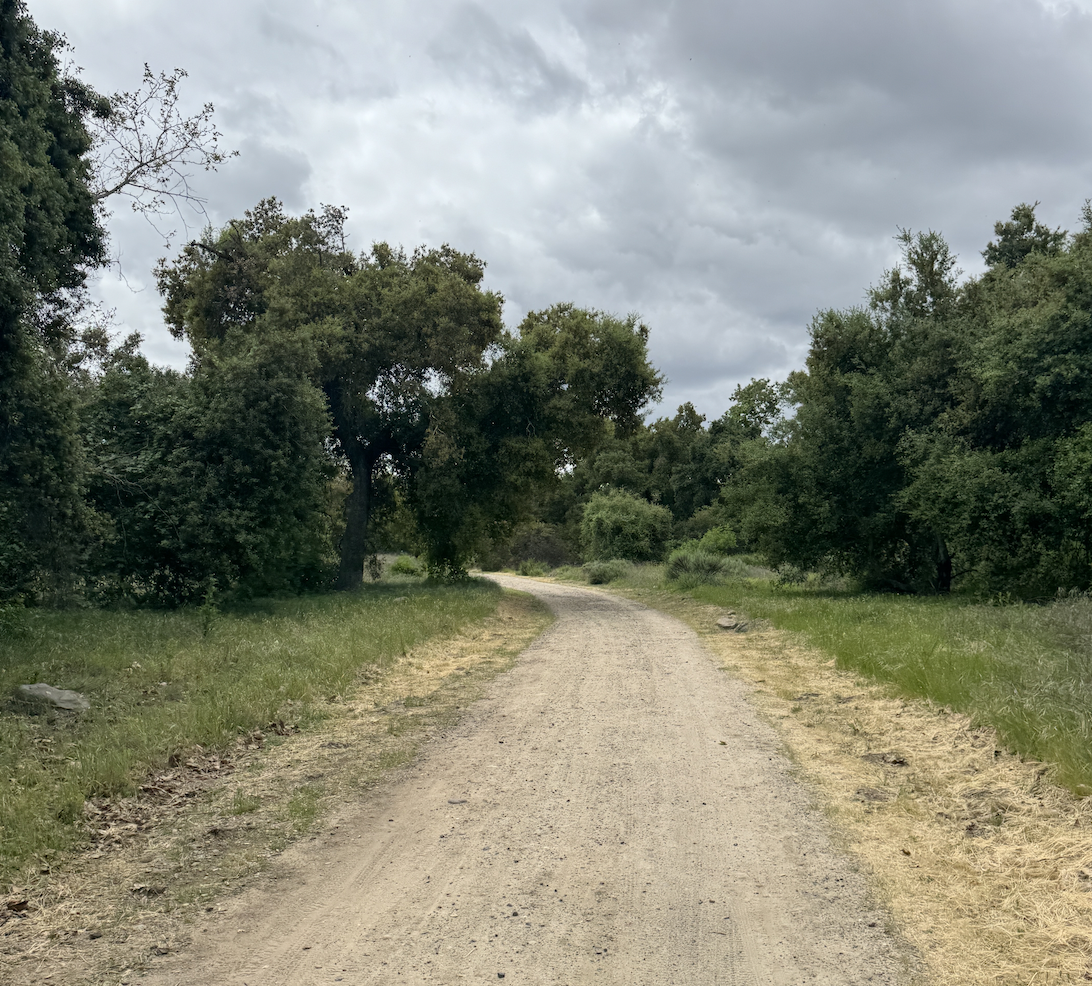 HE'S TRYING TO KILL ME