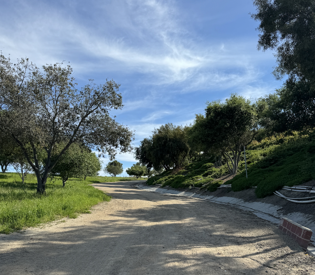 HOW TO OVERCOME INJURY