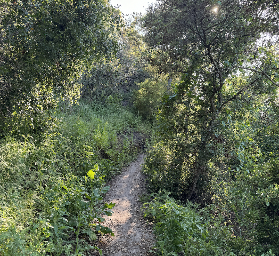 ARE YOU STRONG ENOUGH TO BE...