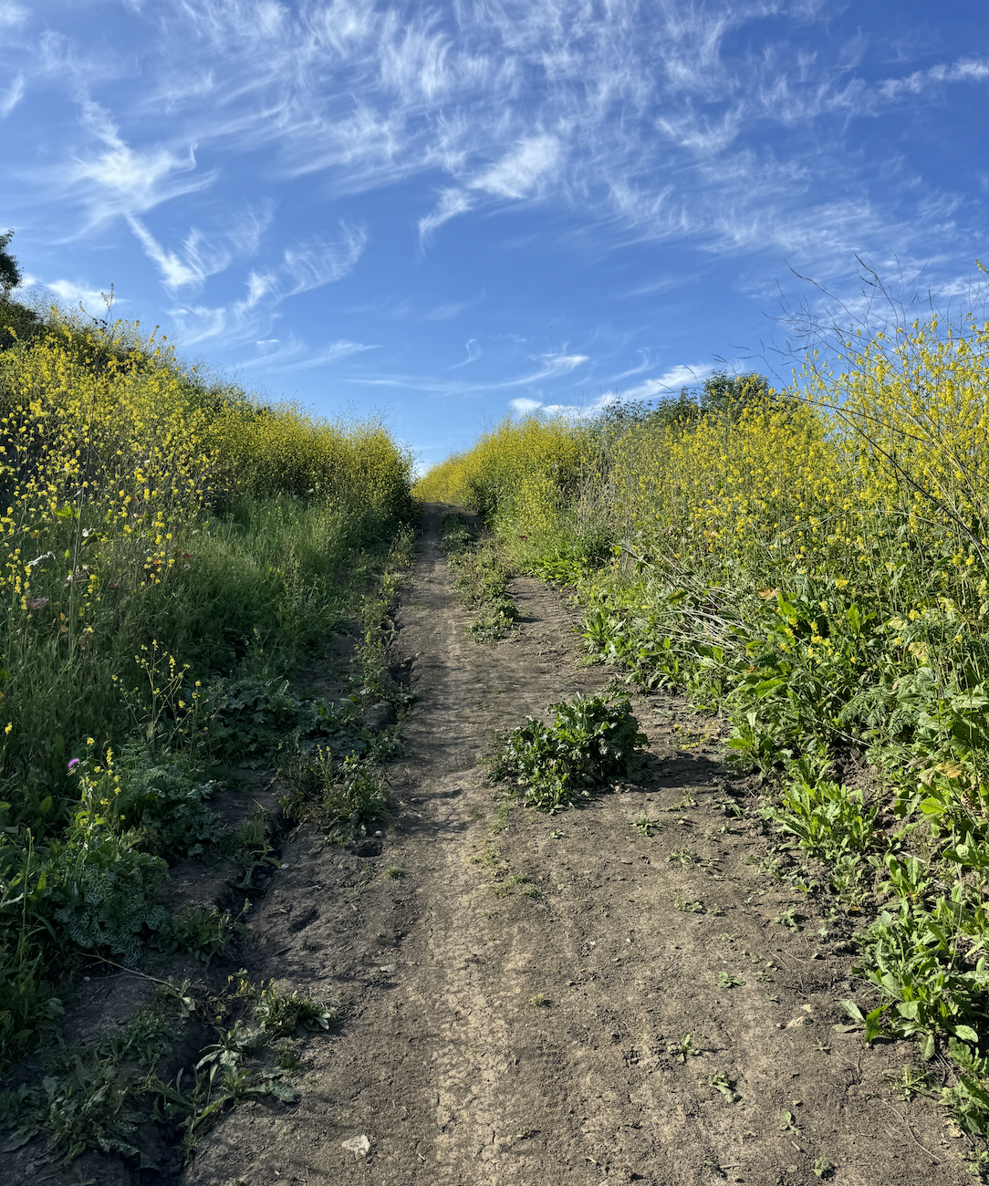 JUST BELIEVE THIS ONE FACT