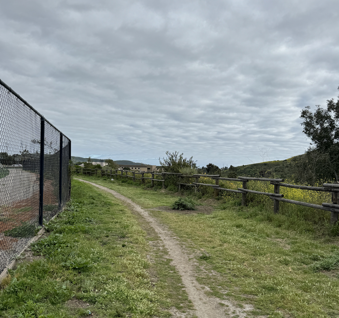 IN A MOOD FOR VIOLENCE