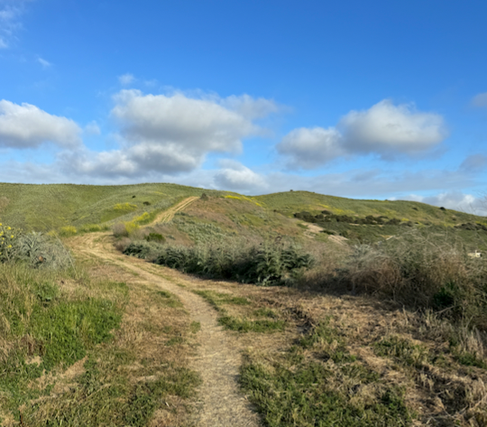 DO YOU HAVE ATOMIC HABITS