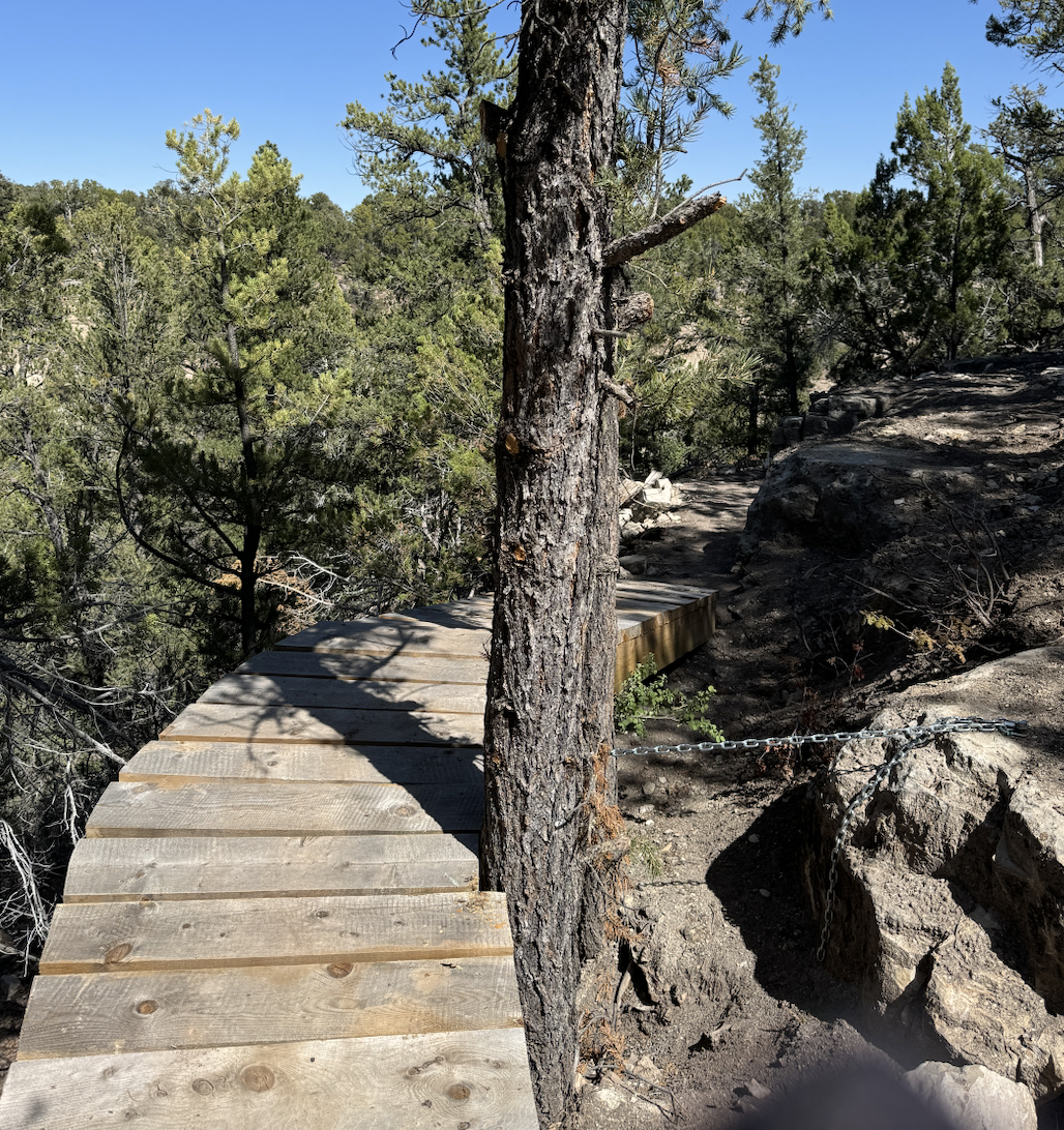 WILL AI MAKE US SLOWER?