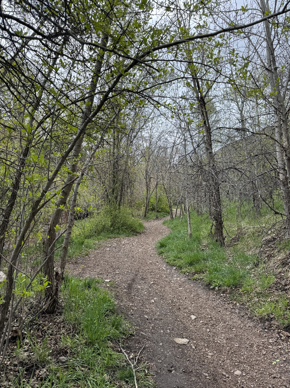 WINNING IS NOT AN OPTION