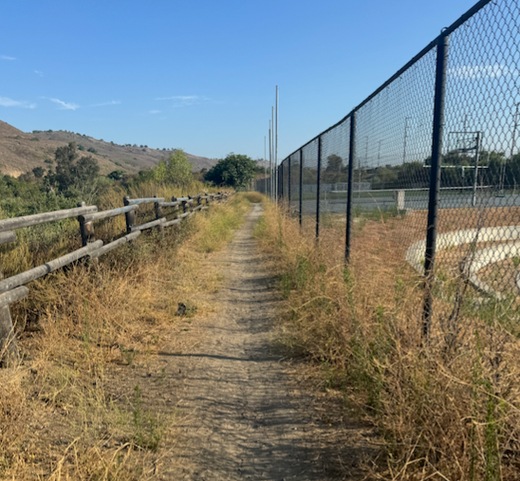 THE COST OF FREE SPEED