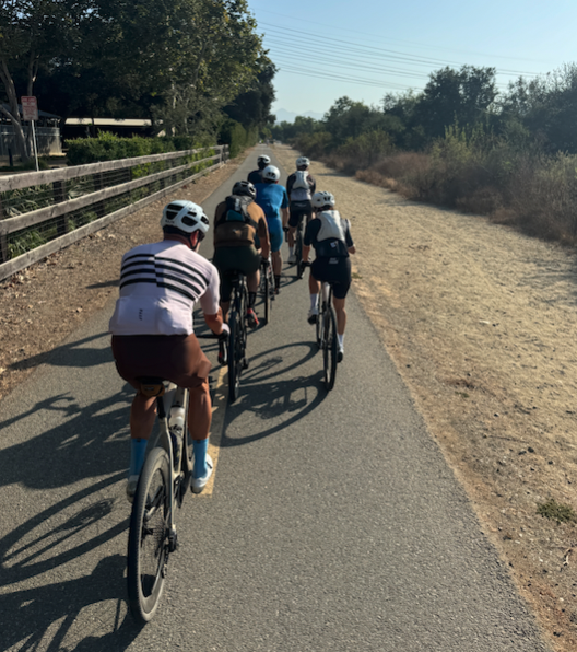 CONGRATULATIONS OR CASTIGATION? YOU DECIDE.