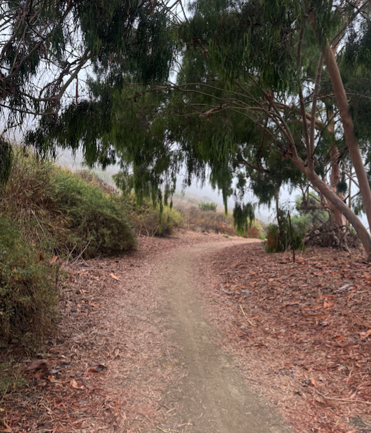 CONSIDERING A QUIVER KILLER? HERE'S A PRO TIP