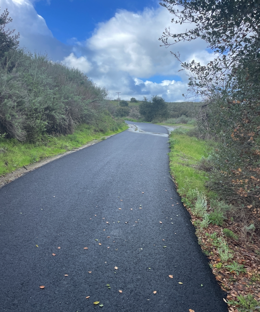 WHOSE WATTS ARE THOSE?