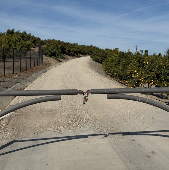 DO YOU TRUST YOUR HEART (RATE)