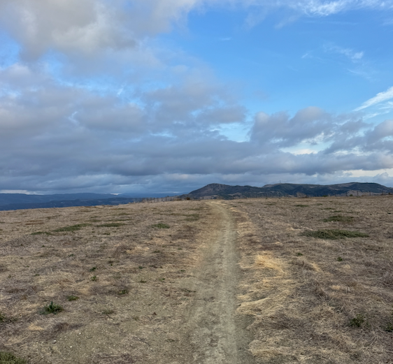 YOU ACTUALLY WOULDN'T BE SURPRISED