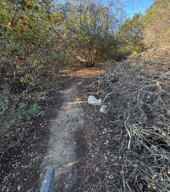 JACK OF ALL TRADES, MASTER OF FUN