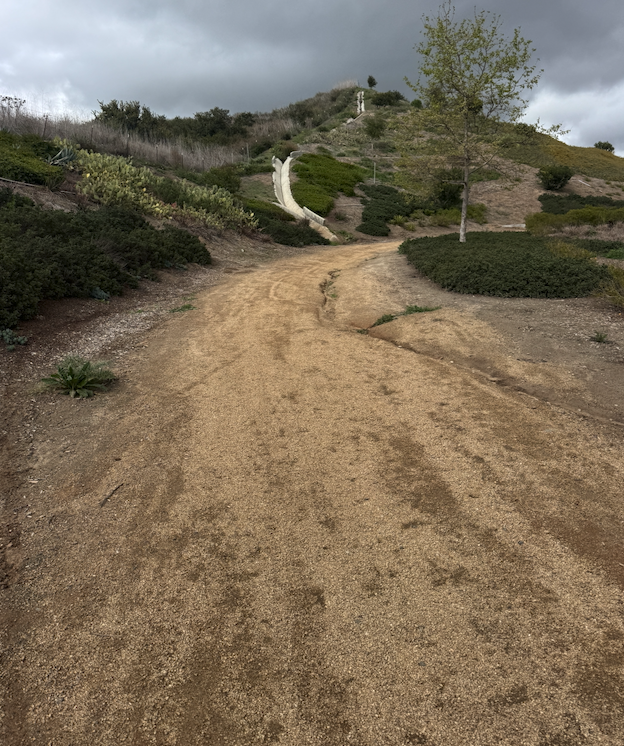 DISCIPLINE IS FOR LOSERS