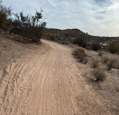 THERE ARE NO TRYOUTS