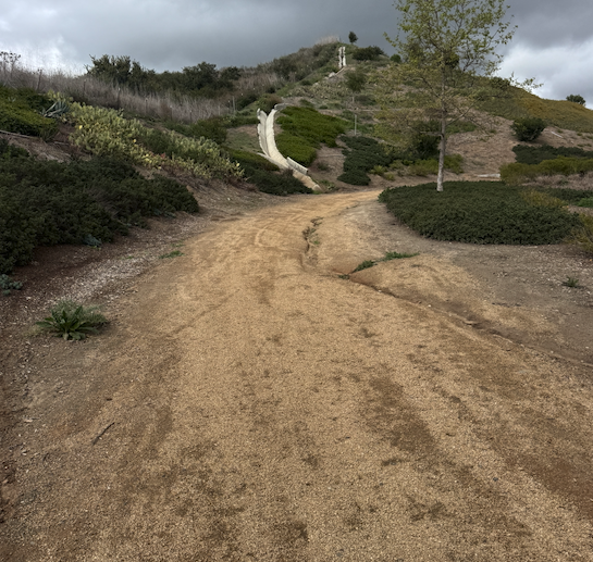 TODAY + TOMORROW + SEA OTTER = BWR?