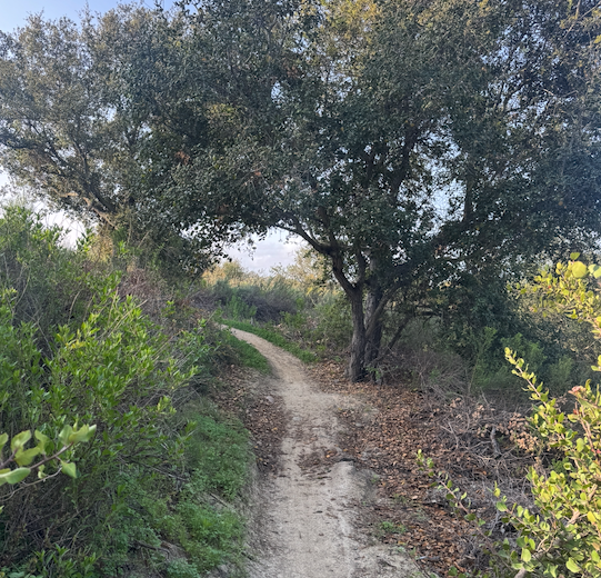 JUST WHAT IS GOING ON WITH THE LONG SOLO VICTORIES?