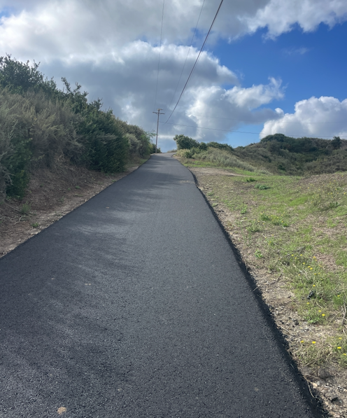 MY LATEST EXCUSE PER OZ