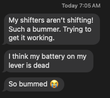 THE CHALLENGE OF ELECTRONIC LIFE