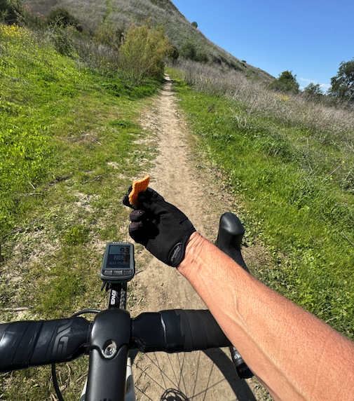 ARE WE BEESY OR BUSY?