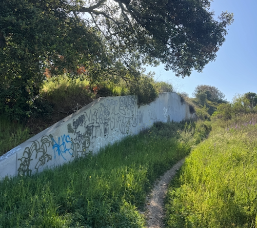 THE ROPE-A-DOPER SUCKER PUNCHES TO VICTORY