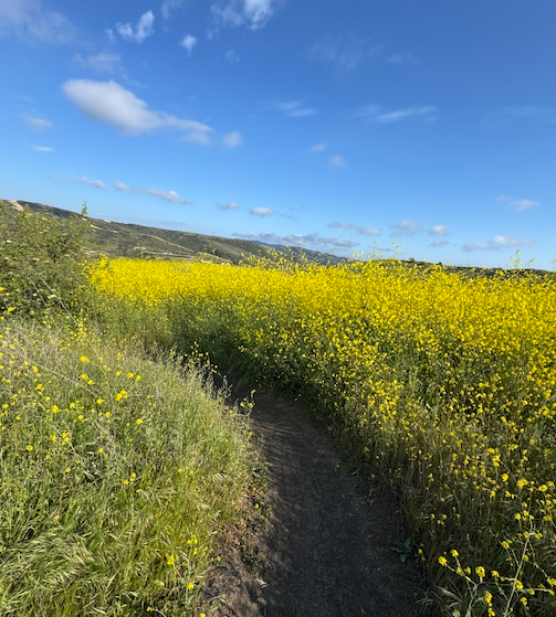 DO YOU HAVE A FAVORITE STATE?