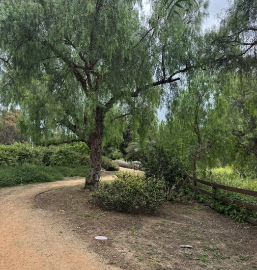 PAYING DIVIDENDS ISN'T ENOUGH