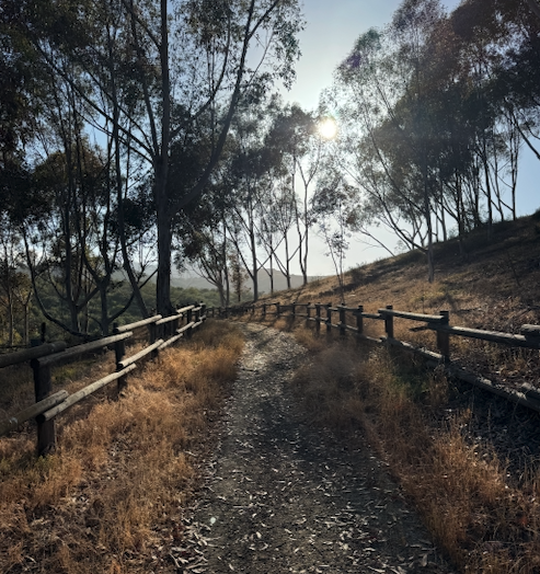 ARE YOU TRAINING HARD?