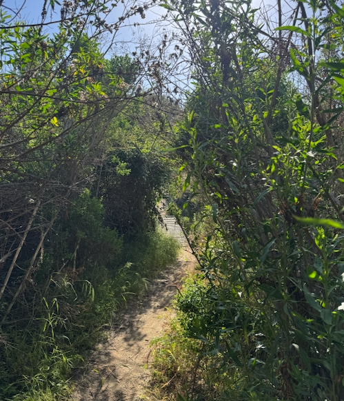 SHOULD WE CARRY OUR PHONES?