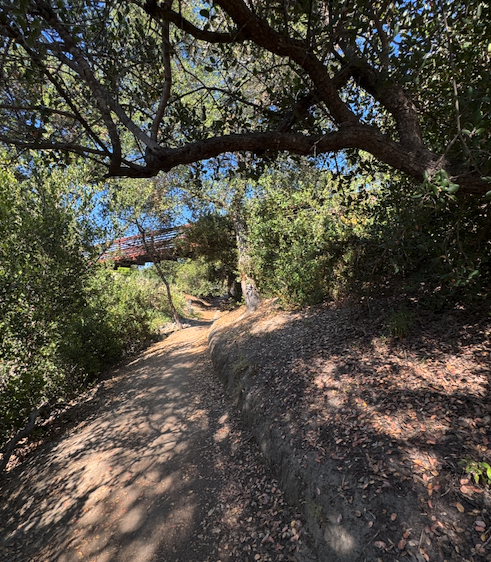 HEAT TRAINING IS SO HOT RIGHT NOW