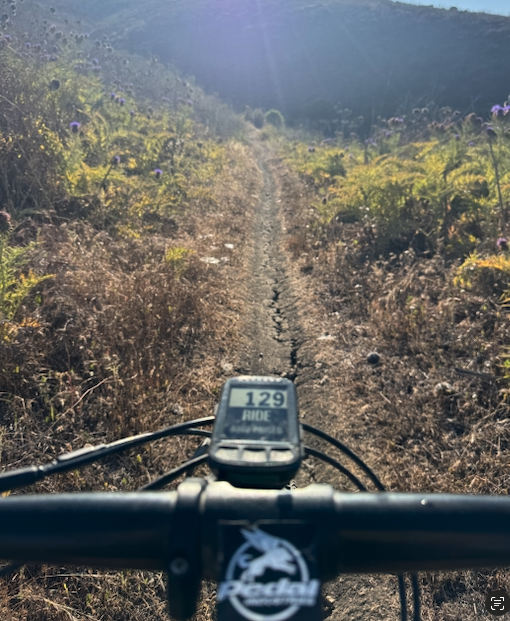 DEAR DIESEL - WHY DID I TOTALLY JUDGE THE EBIKER?