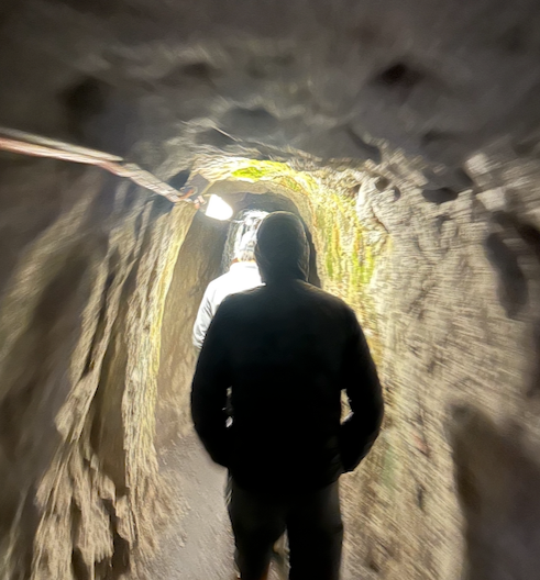 INDULGENT, WITH A PURPOSE