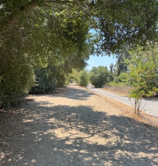 SHOULD WE BE PLANT-BASED ATHLETES?