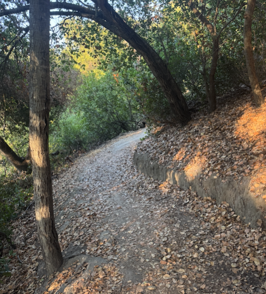 THE MOMENTUM OF CROSS-TRAINING