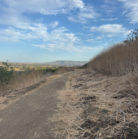 STOPPING ALONG THE WAY