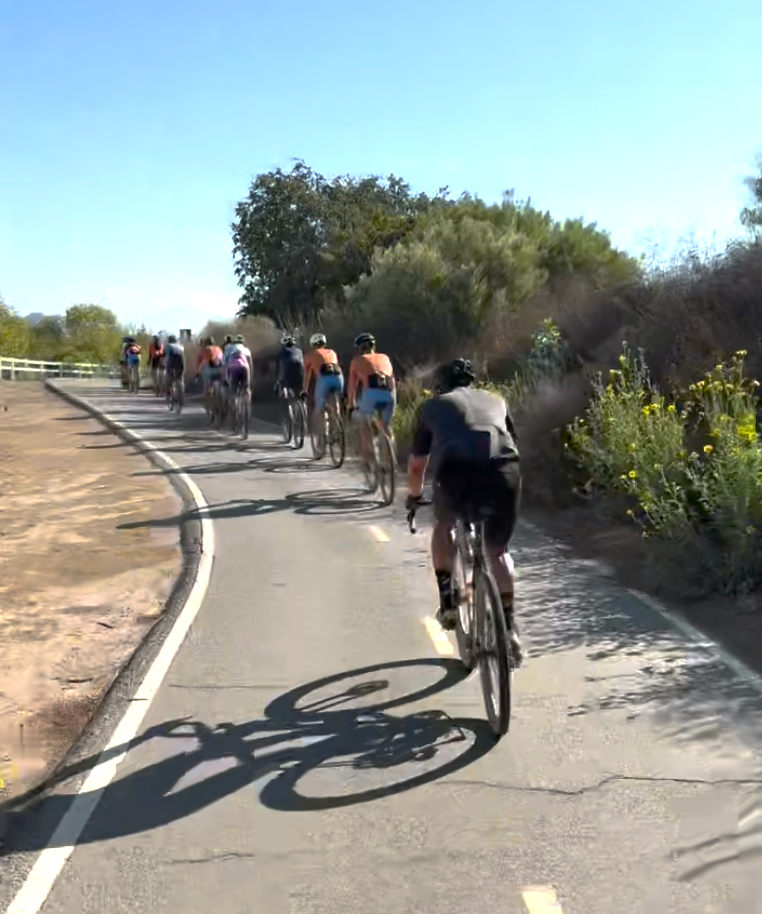 THE SALT OF THE EARTH