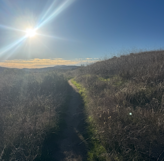 TACKY, TORQUEY TESTING... CONTI DUBNITALS