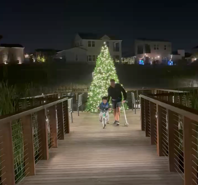 THE OTHER 12 DAYS OF CHRISTMAS